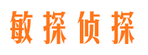 索县侦探调查公司